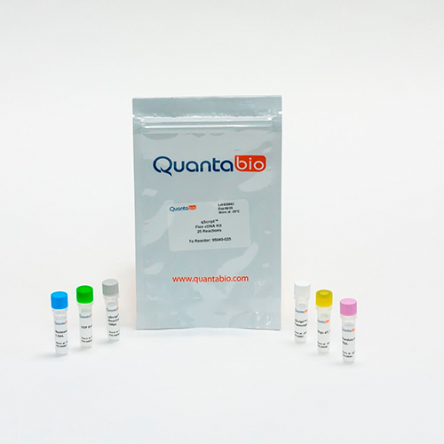 qScript Flex cDNA Synthesis Kit CITOGEM