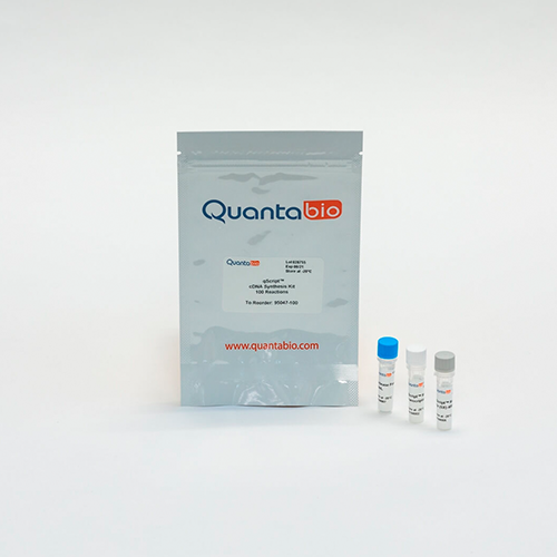 qScript cDNA Synthesis Kit CITOGEM